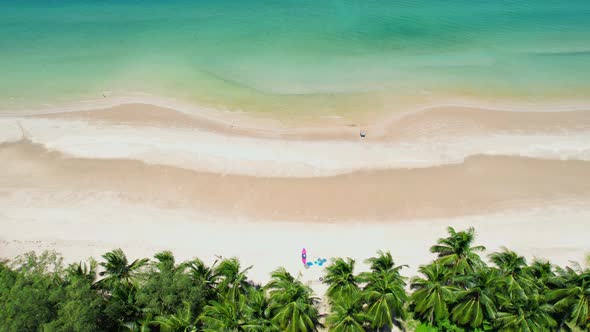 Drone flying over the coconut palms with the beach and the sea alt