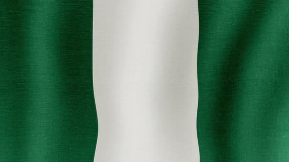 The national flag of Nigeria