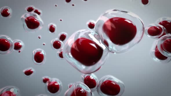 Bubbles Of Oxygen Surging In Blood Cells