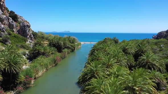 The epic palm forest Vai in Crete. A river is flowing throgh and ends up in the sea. alt