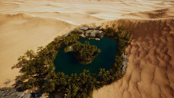Top Down Aerial View of Oasis in Desert alt