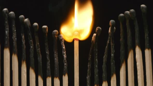 Flash of single matchstick between row of burned matchsticks