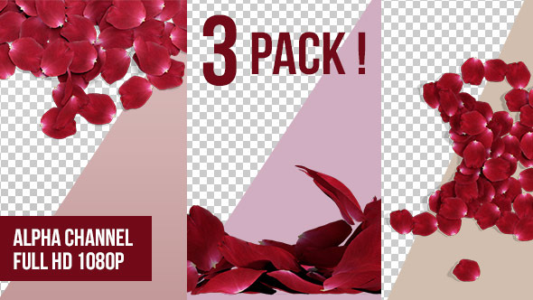 3D Rose Petals Transition - 3 Pack