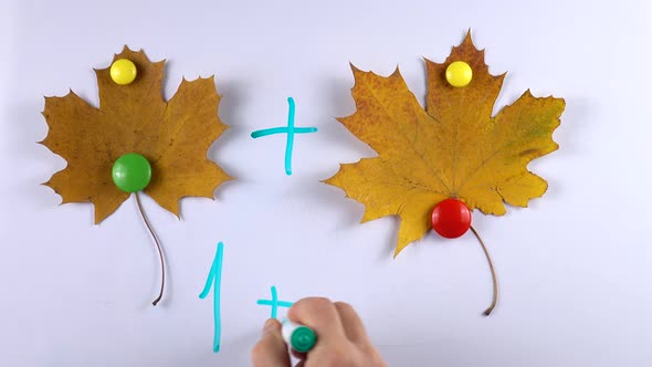 Leaves of maple on the whiteboard, example of educational math children game alt