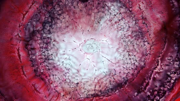 Abstract Grunge Color Ink Paint Spread Explosion Narrowing Space Explosion Background alt