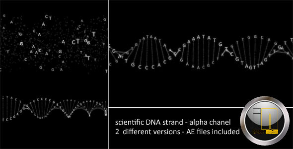 DNA Strand by graphicINmotion | VideoHive