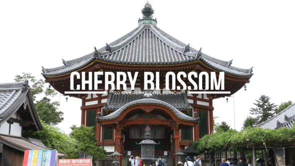 20 Cherry Blossom Overlays  | Premiere Pro Premiere Pro template preview