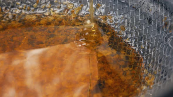The Honey From the Honey Extractor is Filtered Through a Sieve alt