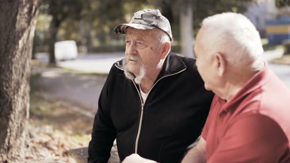 Portrait of Two Old Friends That Talk Sadly with Nostalgia alt