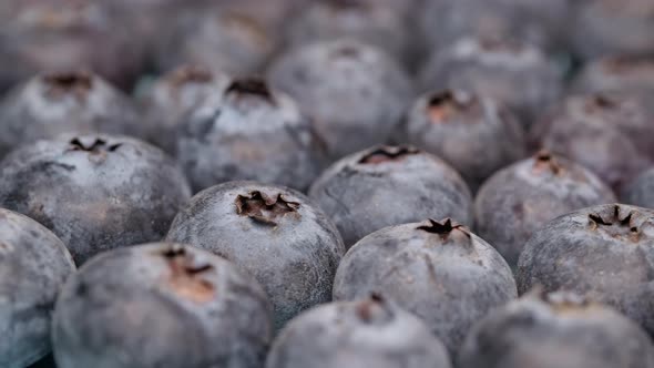 Texture of Ripe Blueberries Closeup