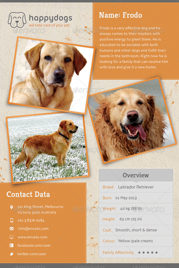 Pet Flyer Gallery by Sargatal GraphicRiver