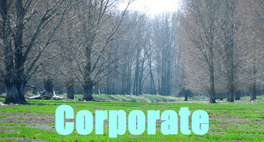 Corporate