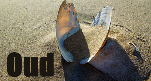 Oud