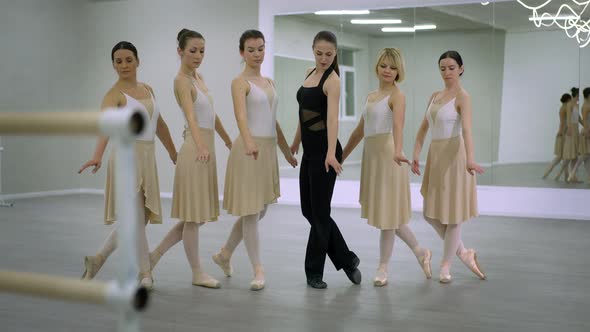 Wide Shot Portrait of Positive Confident Talented Ballerinas and Ballet Master Posing Indoors alt