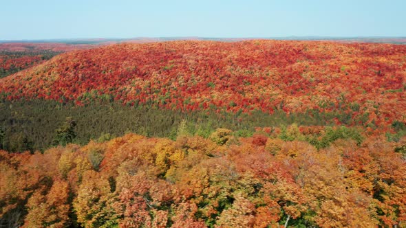Aerial tracking shot of vast wilderness with forested fall colors and rolling hills against a clear alt