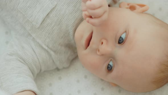 Top View of the Newborn Baby Lying Down on the Cot Wearing Wearing Cute Baby Bodysuit and Exploring alt