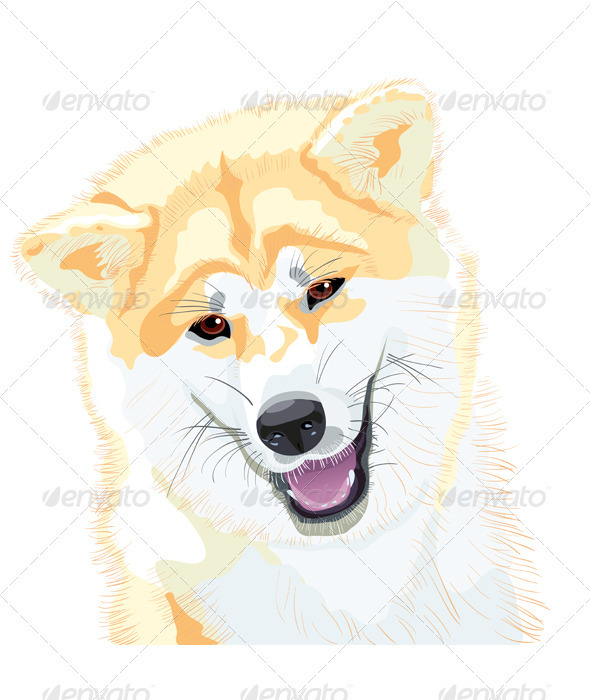 Sketch Akita Inu Japanese Dog smiles - Animals Characters