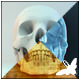 Skull Loop Pack - VideoHive Item for Sale