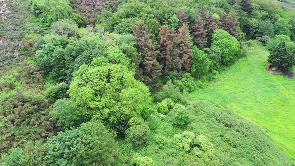 Aerial View of Raheen-a-Cluig Medieval Church in Bray, County Wicklow, Ireland