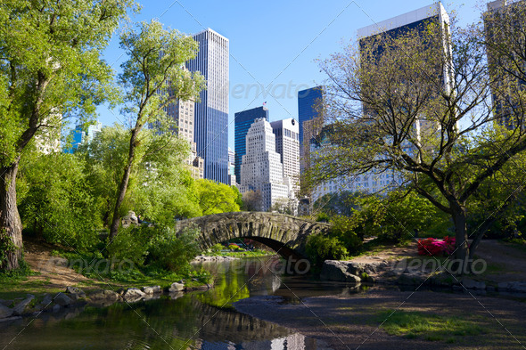 Central Park - Stock Photo - Images