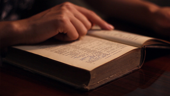 Browsing Pages of Old Book alt