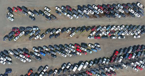 Aerial Top View of the Auction Terminal Parking Lot a Rows of Used Cars alt