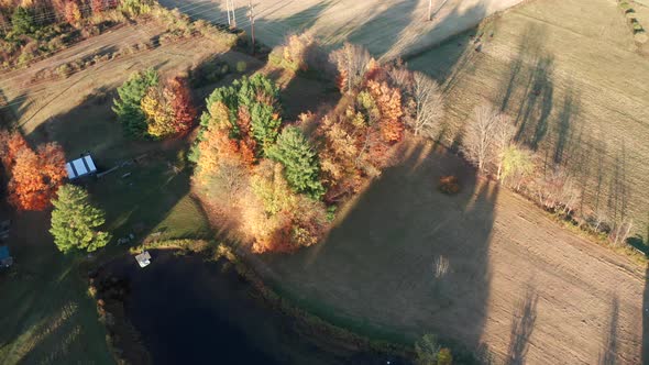 Aerial Drone Shot Flying Towards Colorful Leaves on Farm with Pond