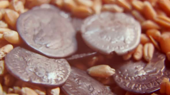 Old Coins on Wheat Grain