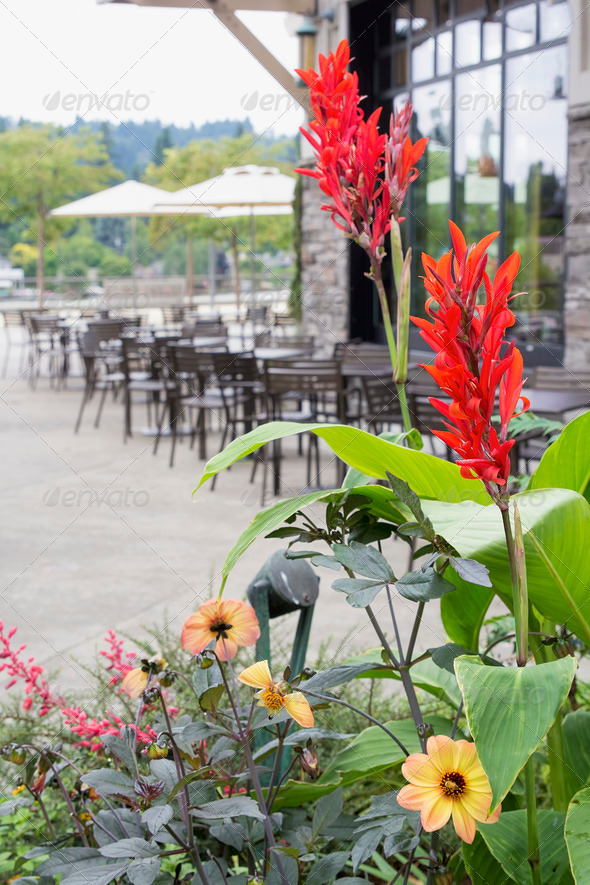 Planter Flowers by Restaurant Outdoor Seating