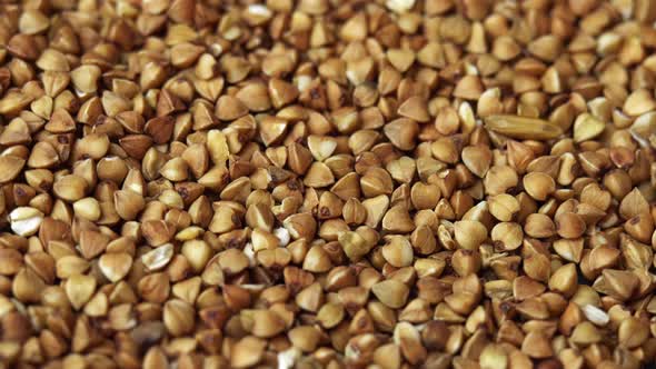 Buckwheat Groats Closeup Rotating As a Restaurant Backdrop Common Buckwheat is Seeds Fagopyrum alt