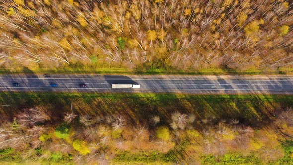Road in the Autumn Forest Aerial View alt