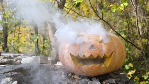 Pumpkin with white smoke