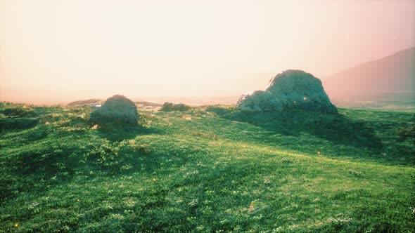 Alpine Meadow with Rocks and Green Grass alt