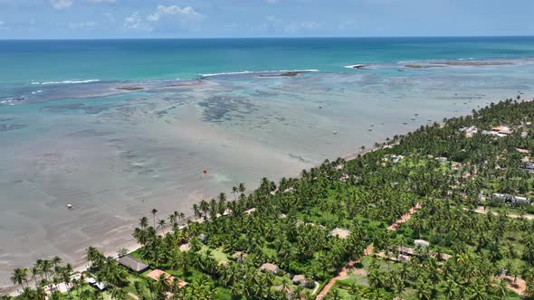 Patacho beach at Sao Miguel dos Milagres Alagoas Brazil. alt