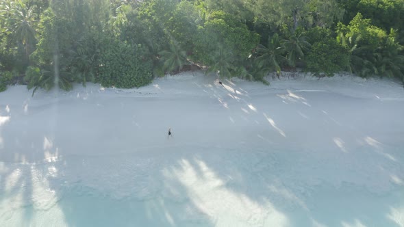 Aerial view of a person walking on the beach of Anse Lazio, Seychelles. alt