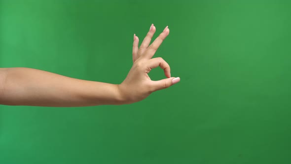 Woman's Hand Ok Sign On Green Screen Background alt