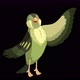 Singing Green forest bird alpha matte 4K - VideoHive Item for Sale