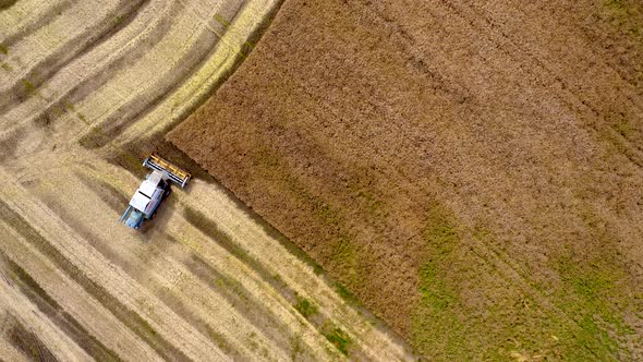 Harvesting of wheat in summer. Two harvesters working in the field alt