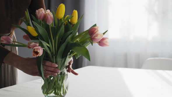 Caucasian woman putting fresh tulips in the vase on the table. Shot with RED helium camera in 8K. alt