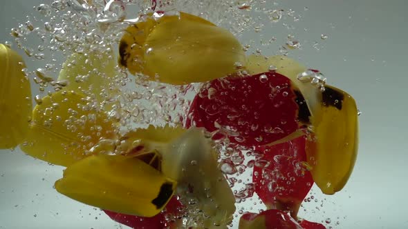 Petals of Tulips Fall in Water alt