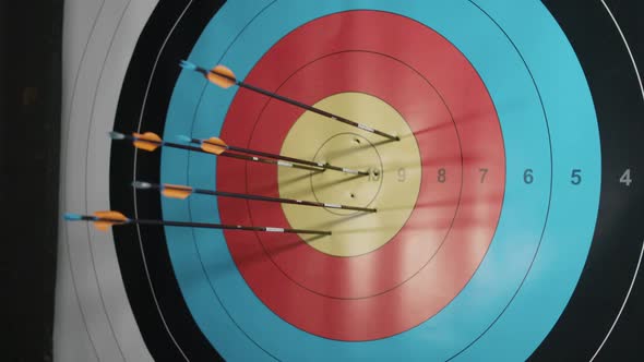 Arrow Hitting Bullseye in slow motion alt