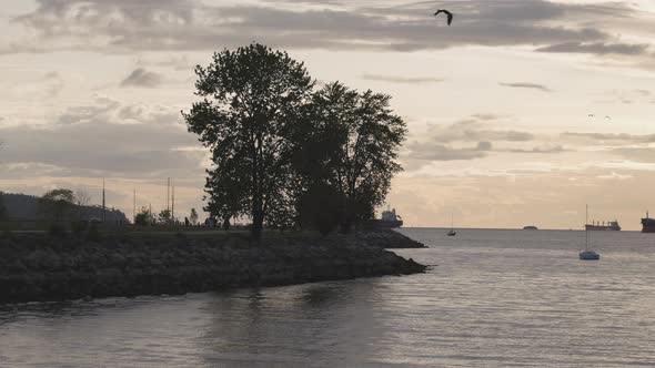 Kits Point in False Creek Downtown Vancouver British Columbia Canada alt