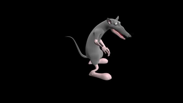 Dancing Mouse