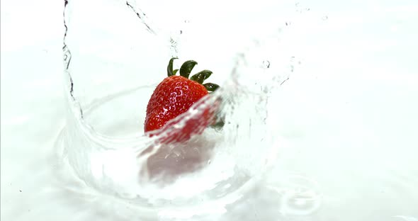 900024 Strawberries, fragaria vesca, Falling on Water, Slow Motion 4K alt