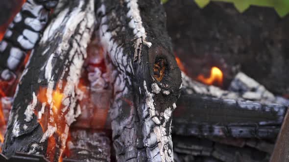 Bonfire flame and firewood. Smoldered firewoods burned in fire, close up alt