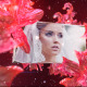 Wedding Fairy - VideoHive Item for Sale