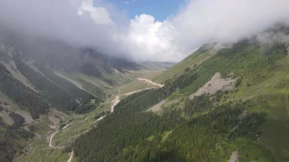 Forest   Valley   Sky alt