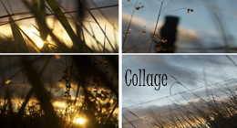 Collage