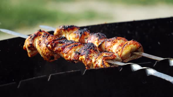 Roasted Pieces of Meat on Skewers
