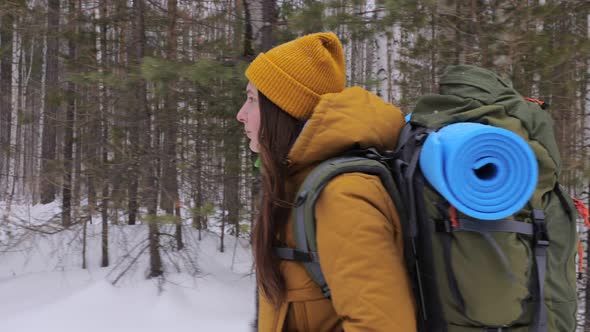 Girl Tourist Goes on a Winter Forest Road with a Backpack on Her Shoulders alt